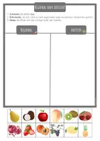 Vorschau - Arbeitsblätter - regionales und exotisches Obst Arbeitsblatt (gesunde Ernährung) - Seite 1