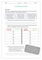 Vorschau - Arbeitsblätter - Arbeitsblatt Übung Eine Diskussion führen - Seite 3