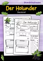 Vorschau - Arbeitsblätter - Steckbrief Holunder - Deckblatt