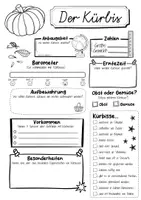 Vorschau - Arbeitsblätter - Steckbrief Kürbis - Seite 2
