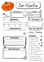 Vorschau - Arbeitsblätter - Steckbrief Kürbis - Seite 1