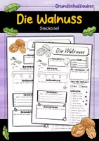 Vorschau - Arbeitsblätter - Steckbrief Walnuss - Deckblatt