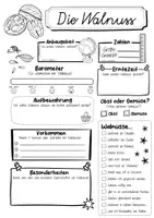 Vorschau - Arbeitsblätter - Steckbrief Walnuss - Seite 2