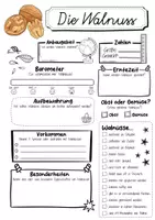 Vorschau - Arbeitsblätter - Steckbrief Walnuss - Seite 1