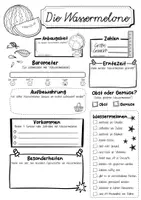 Vorschau - Arbeitsblätter - Steckbrief Wassermelone - Seite 2