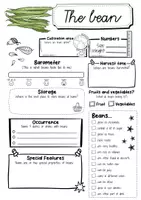 Vorschau - Arbeitsblätter - 102 Fruit and vegetables fact sheets - material package - Seite 2