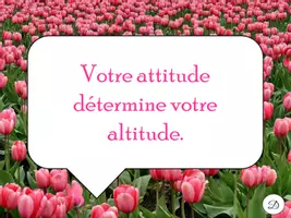 Aperçu - Affichage - Citations inspirantes - 30 affiches / French Motivational Quotes - Page 3