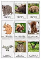 Vorschau - Spiele - Spiel, Tiere im Wald, Wortschatz, DaZ - Seite 3