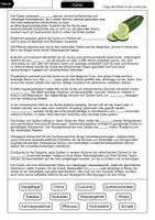 Vorschau - Arbeitsblätter - Gurke Lückentext - Seite 1