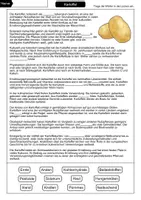 Vorschau - Arbeitsblätter - Kartoffel Lückentext - Seite 1
