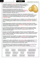 Vorschau - Arbeitsblätter - Kartoffel Lückentext - Seite 2