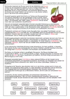 Vorschau - Arbeitsblätter - Kirsche Lückentext - Seite 2