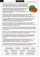 Vorschau - Arbeitsblätter - Wassermelone Lückentext - Seite 2