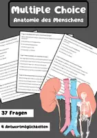 Vorschau - Arbeitsblätter - 40 Fragen zum Thema Anatomie des Menschens - Deckblatt