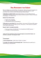 Vorschau - Merkblätter - Hefteintrag, Das Benennen von Salzen - Seite 2
