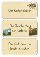 Vorschau - Präsentationen/Tafelbilder - FREEBIE Reihentransparenz Kartoffel - Seite 3