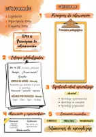 Vista previa - Tarjetas / Manipulativos - Esquema T12. Principios de intervención (Opos Ed. Infantil) - página 2