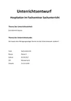 Vorschau - Stundenentwürfe - Unterrichtsentwurf - Seite 1