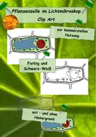 Vorschau - selbst erstellte Cliparts/Grafiken - Clipart Pflanzenzelle - Deckblatt