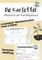 Vorschau - Arbeitsblätter - Das Wachstum der Kartoffel - Das Kartoffeljahr - Deckblatt