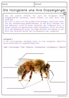 Vorschau - Arbeitsblätter - Die Honigbiene - Seite 2