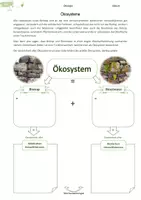 Vorschau - Arbeitsblätter - Ökosystem | Biotop | Biozönose | Umweltfaktoren - Seite 3