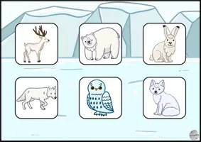Vorschau - Spiele - Guck nicht über die Mauer: arktische Tiere (Wortschatz) - Seite 3