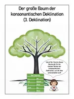 Vorschau - Poster - Deklinationsbaum Konsonantische Deklination (3. Deklination) - Standardinformation - DinA3 - Deckblatt