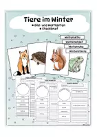 Vorschau - Arbeitsblätter - Tiere im Winter: Bild- und Wortkarten, Steckbrief - Deckblatt