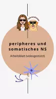 Vorschau - Arbeitsblätter - videogestütztes AB peripheres/somatisches Nervensystem - Deckblatt
