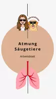 Vorschau - Arbeitsblätter - Arbeitsblatt Atmung (Säugetiere) - Deckblatt