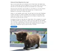 Vorschau - Stundenentwürfe - Angst /Sachtext/PDF-Arbeitsblätter/interaktiv/H5P/Moodle/+Lösungen - Seite 3