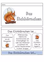 Vorschau - Arbeitsblätter - Das Eichhörnchen - Flipbook und Arbeitsblätter - Seite 2