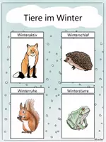Vorschau - Arbeitsblätter - Tiere im Winter: Bild- und Wortkarten, Steckbrief - Seite 2