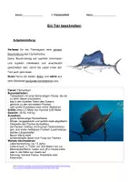Vorschau - Klassenarbeiten - Klassenarbeit Tierbeschreibung: Fächerfisch mit Erwartungshorizont - Seite 3