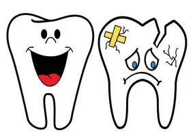 Vorschau - Bildkarten - Körper & Gesundheit: Gesunde Zähne (Tafelmaterial & Zuordnung) - Sachunterricht - Kl. 1/2 - Seite 2