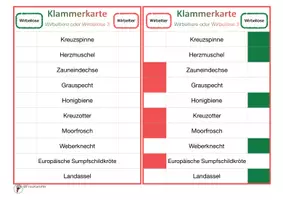 Vorschau - Spiele - Klammerkarte_Wirbellose oder Wirbeltiere 3_Quiz - Deckblatt