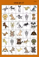 Vorschau - Spiele - Spiel - What am I Dogs - Seite 1
