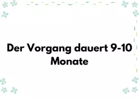 Vorschau - Präsentationen/Tafelbilder - Schwangerschaft mitteilen- Rätsel für die Klasse - Seite 2