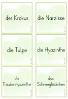 Vorschau - Spiele - Frühblüher – Spiel „Paare finden“ für die Grundschule (Klasse 1–4) - Seite 2