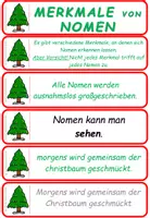 Vorschau - Fördermaterial/Inklusion - Deutsch Winter: Merkmale von Nomen Übungskarten - Seite 1