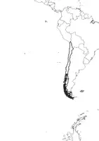 Vorschau - Arbeitsblätter - Landkartre von Chile stumme Karte mit Umrissen der Nachbarländer - Seite 3