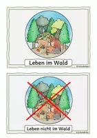 Vorschau - Fördermaterial/Inklusion - Tiere im Wald, Tafelmaterial - Seite 3