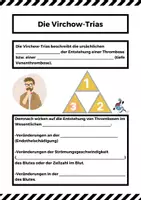 Vorschau - Arbeitsblätter - Prophylaxen am Beispiel der Thrombose - PART II - Seite 3