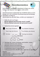 Vorschau - Arbeitsblätter - Stammbaumanalyse: Übungen zur Vertiefung - Deckblatt