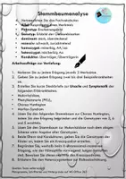 Vorschau - Arbeitsblätter - Stammbaumanalyse: Übungen zur Vertiefung - Seite 1