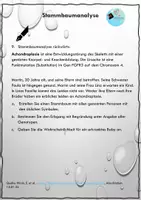 Vorschau - Arbeitsblätter - Stammbaumanalyse: Übungen zur Vertiefung - Seite 3