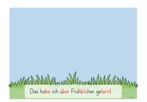 Vorschau - Arbeitsblätter - Frühblüher: Schülerfragen sammeln - Seite 3