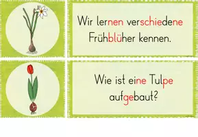 Vorschau - Unterrichtsreihen - Frühblüher: Reihentransparenz - Seite 2
