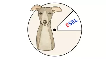 Vorschau - Bildkarten - Leserad: Erste Wörter (Silbenschrift, gross, klein) - Deckblatt